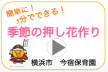 今宿保育園「季節のお花で押し花を作ります。簡単にできますよ。お家でも作ってみてね。」