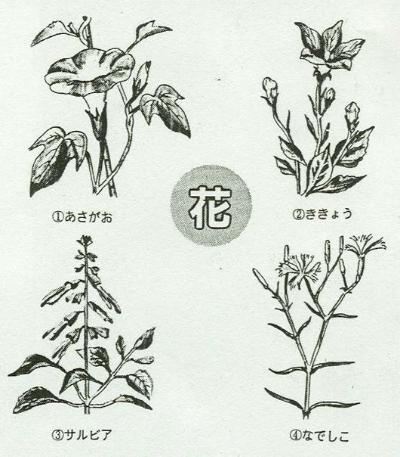 候補の花の写真です