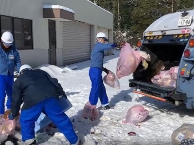 災害廃棄物の収集・運搬に向かう車両