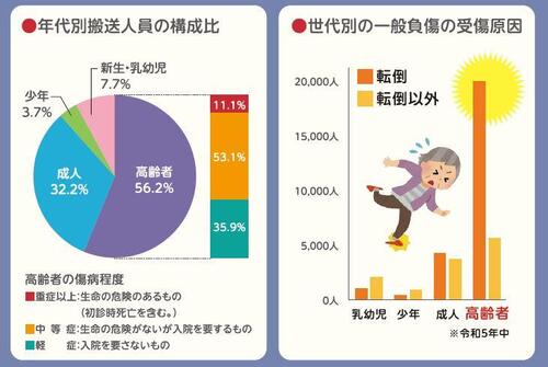 高齢者グラフ