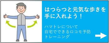 はつらつと元気な歩きを手に入れよう