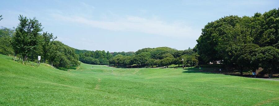 根岸森林公園