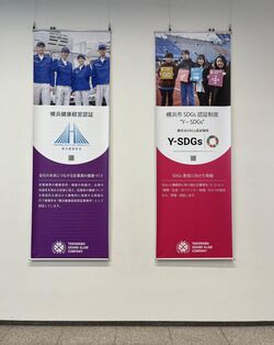 展示③