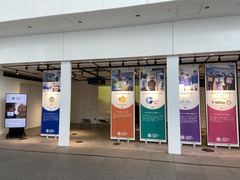 展示