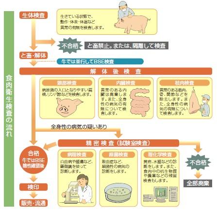 食肉衛生検査の流れを示しています