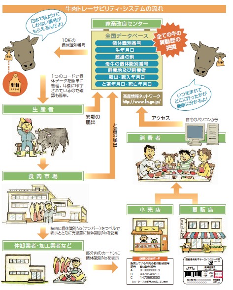 牛肉トレーサビリティ・システムの流れを示しています