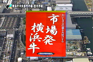 市場発横浜牛を紹介しています