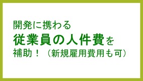 開発に携わる従業員の人件費を補助