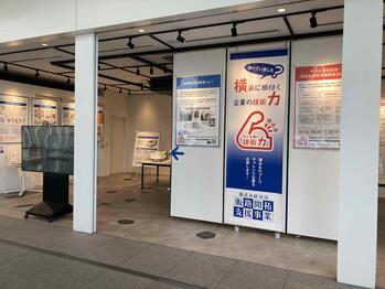 展示の様子の写真１
