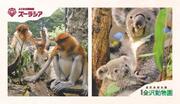 よこはま動物園・金沢動物園共通招待券
