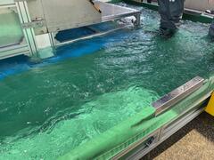冠水体験