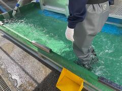 水の流れと逆に歩く