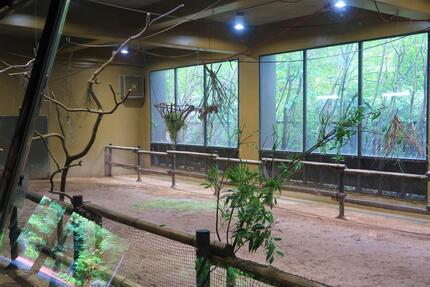 屋内展示場の様子