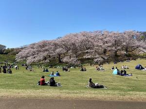 根岸森林公園