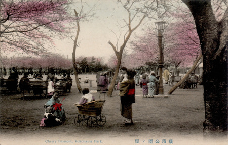 横浜公園絵葉書