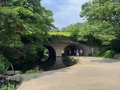 せせらぎの例