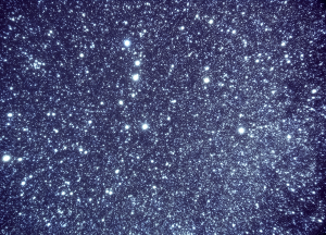 プラネタリウムで映し出された星空