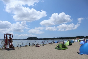 海の公園　砂浜