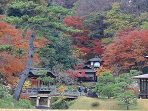 三渓園 内苑と色づく紅葉