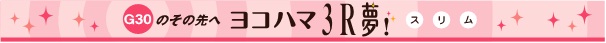 Ｇ３０のその先へ　ヨコハマスリム