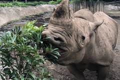 動物園を応援したい！