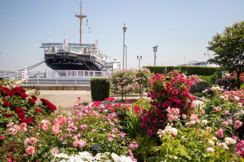４．横浜の魅力・ブランド力を高めるまちづくり（にぎわい創出）