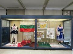 展示