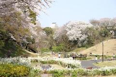 県立保土ケ谷公園