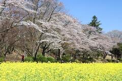 横浜市児童遊園地