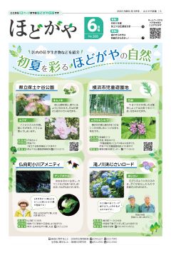 広報よこはまほどがや区版６月号表紙