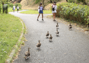 I保土ケ谷公園