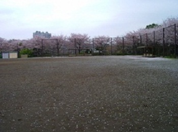 仏向矢シ塚公園