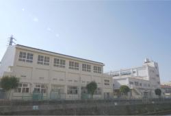 帷子小学校