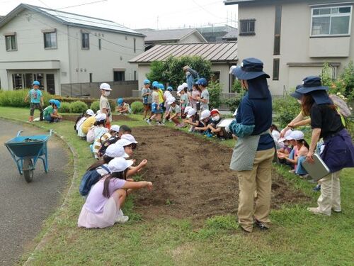種まき