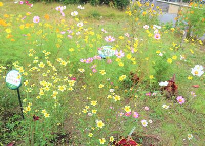 根岸馬場町公園