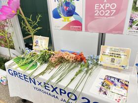 並べられたお花