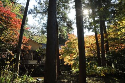 久良岐能楽堂の紅葉