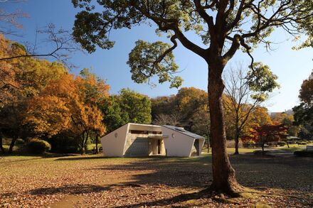 久良岐公園の紅葉