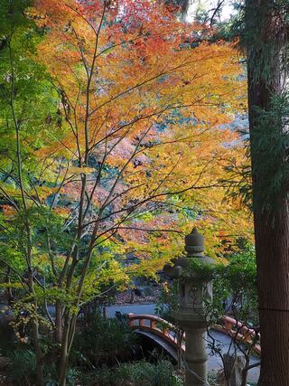 久良岐公園の紅葉