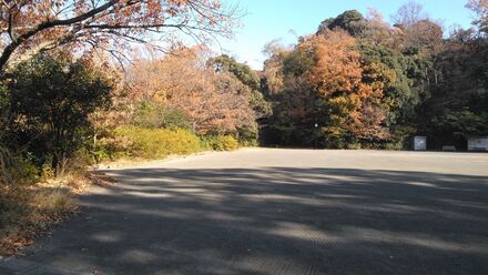 坪呑公園の紅葉