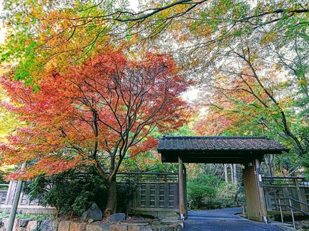 久良岐能舞台の紅葉