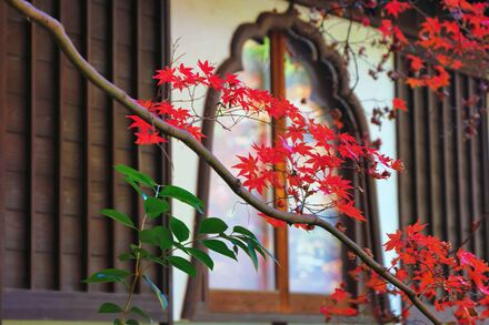 久良岐能楽台庭園の紅葉