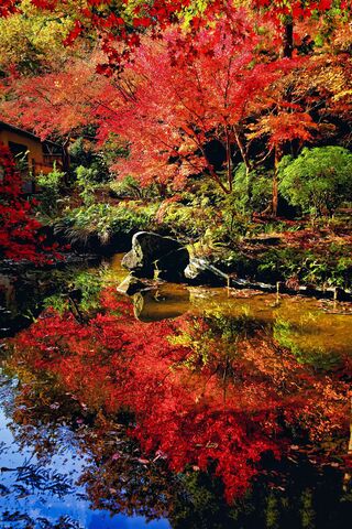 久良岐能楽台庭園の紅葉