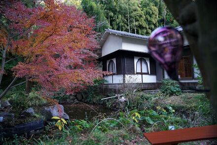 久良岐能舞台の紅葉