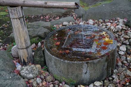 久良岐能舞台の紅葉