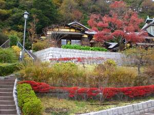 根岸なつかし公園旧柳下邸の紅葉