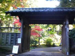 久良岐能舞台の紅葉