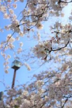 新杉田公園