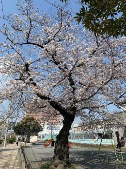 白旗バス停前　白旗公園