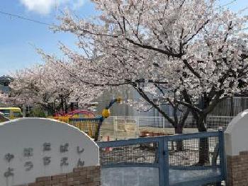 八幡橋幼稚園 